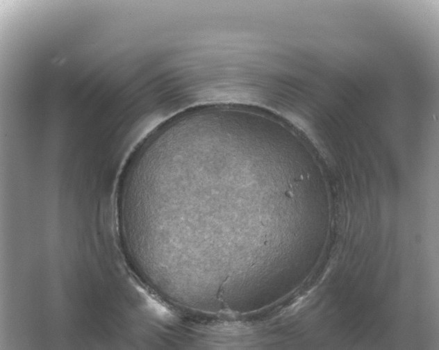 X0000067470982200604142346