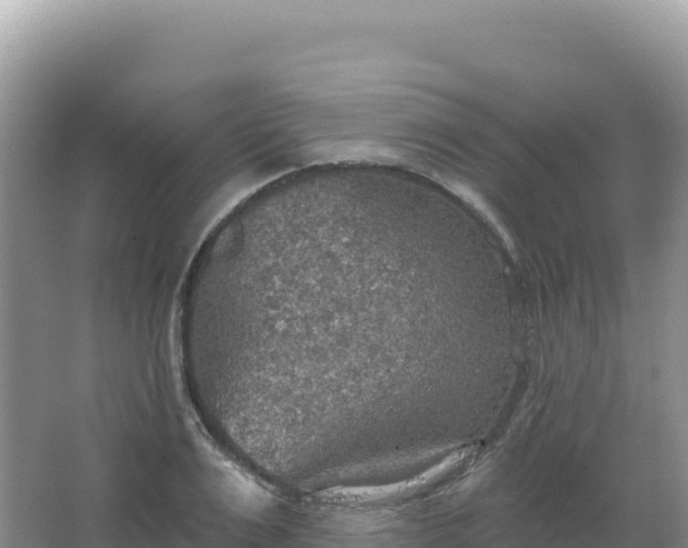 X0000067470983200604142346