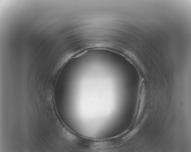 X0000067470985200604142346