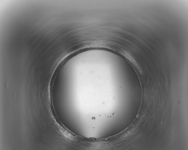 X0000067470988200604142346