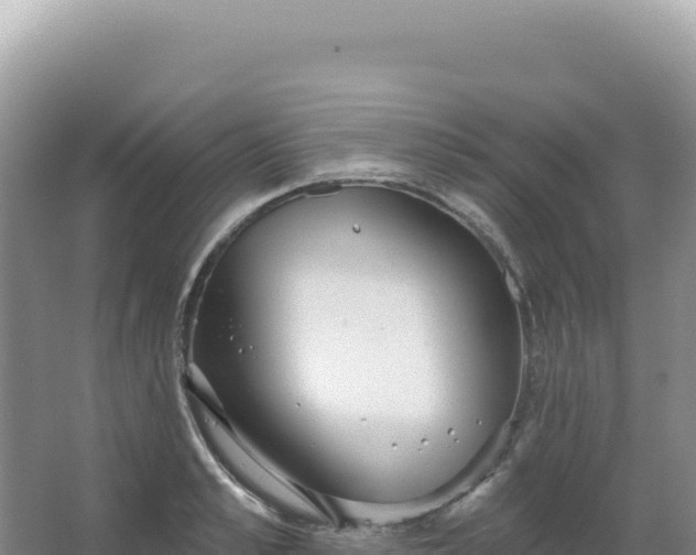 X0000067470989200604142346