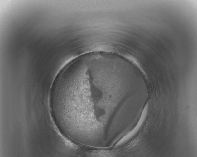 X0000067470991200604142346