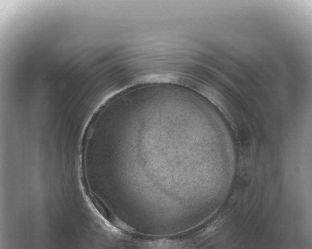 X0000067470992200604142346