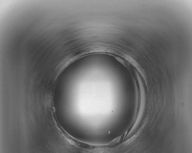 X0000067470993200604142346