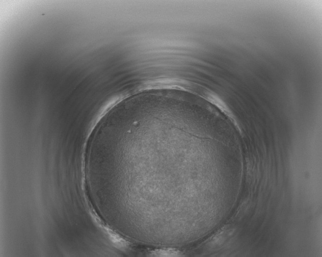 X0000067470994200604142346