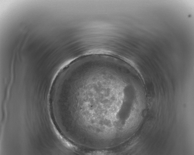 X0000067470995200604142346