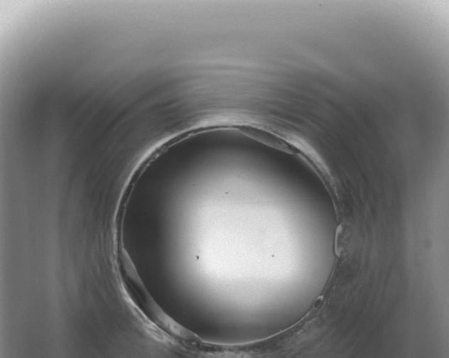 X0000067470996200604142346