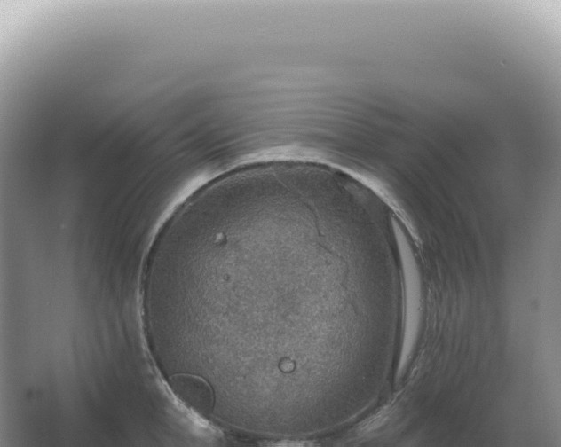 X0000067470998200604142345