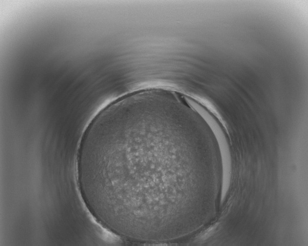 X0000067470999200604142345