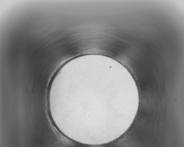 X0000067471000200604142345