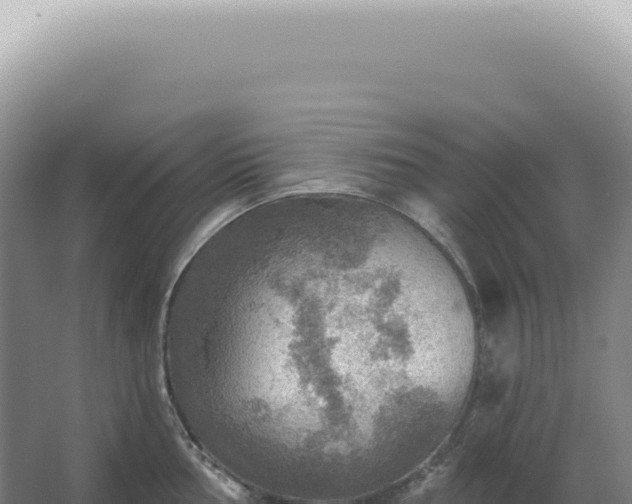 X0000067471002200604142345