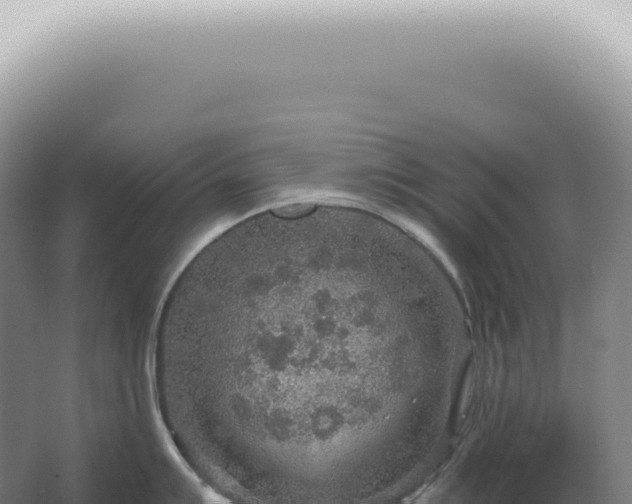 X0000067471007200604142345