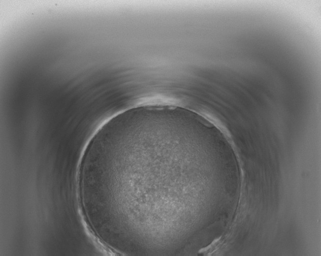 X0000067471008200604142345