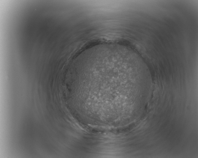 X0000067471009200604142345