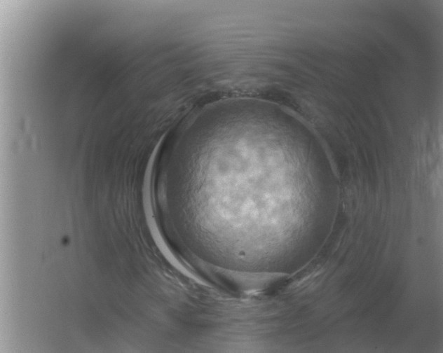 X0000067471010200604142345