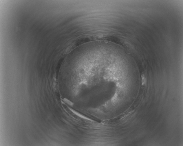 X0000067471011200604142345