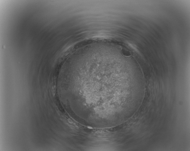 X0000067471015200604142345