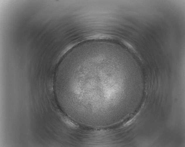 X0000067471017200604142345