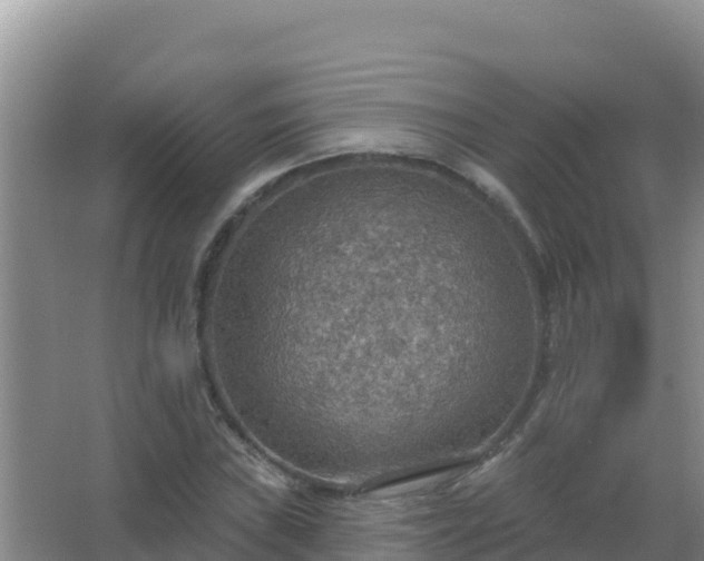 X0000067471019200604142345