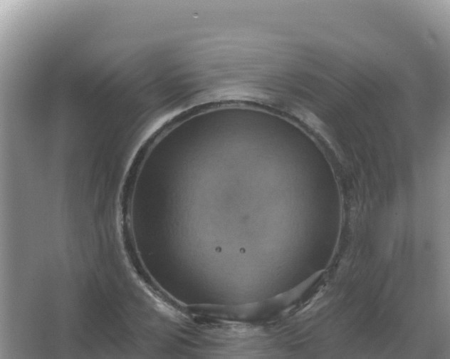 X0000067471024200604142345