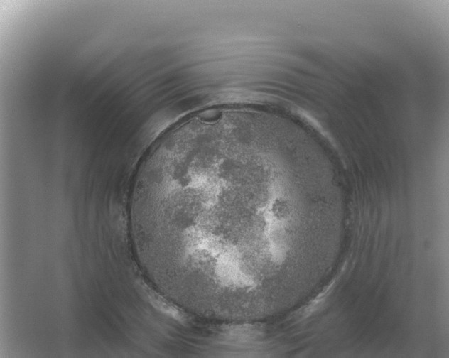 X0000067471025200604142345