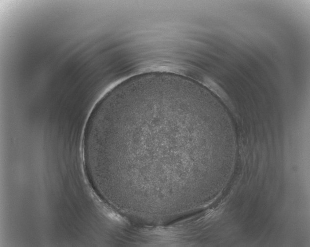 X0000067471028200604142345