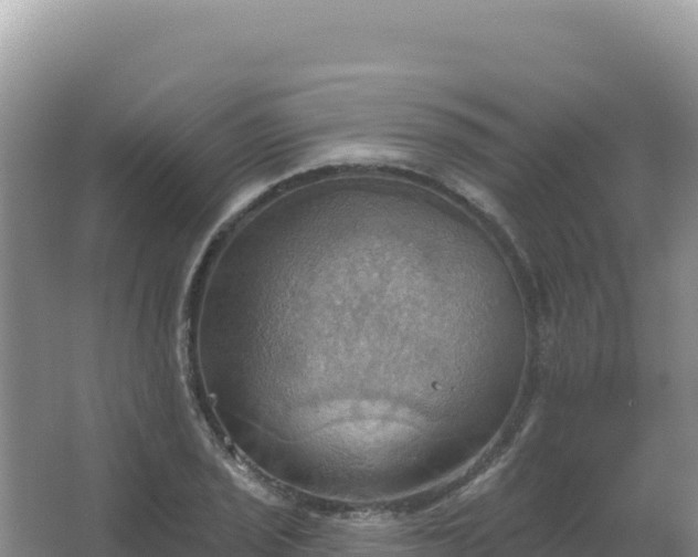 X0000067471029200604142345