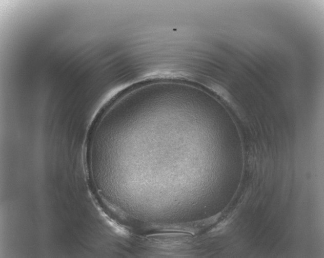 X0000067471030200604142345