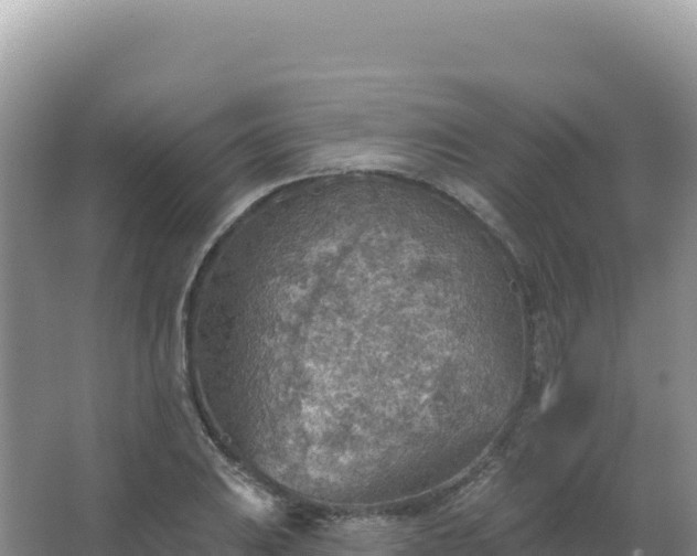 X0000067471031200604142345