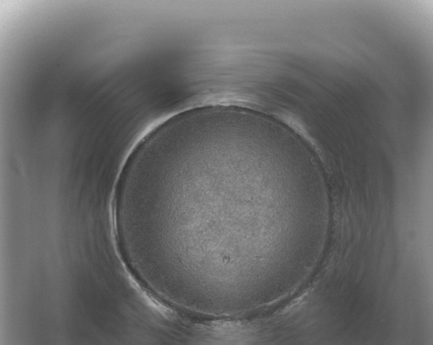 X0000067471032200604142345