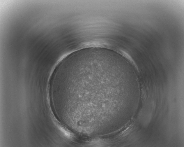 X0000067471035200604142345