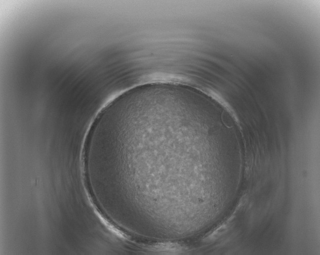 X0000067471037200604142345