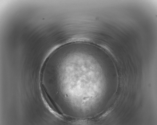 X0000067471038200604142345