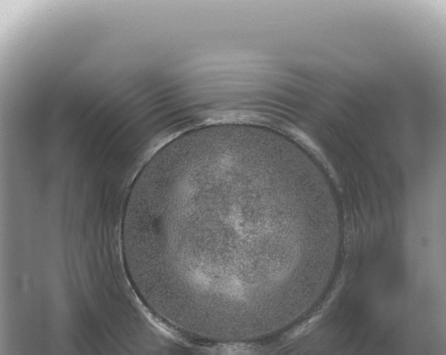 X0000067471041200604142345