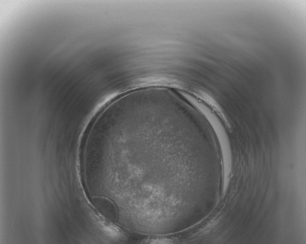 X0000067471043200604142345