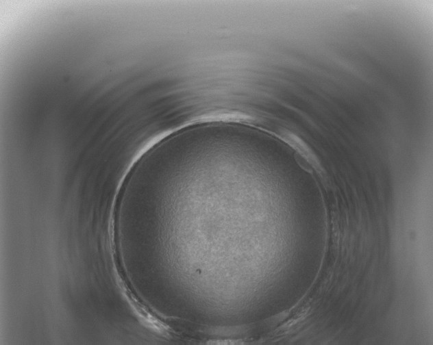 X0000067471044200604142345