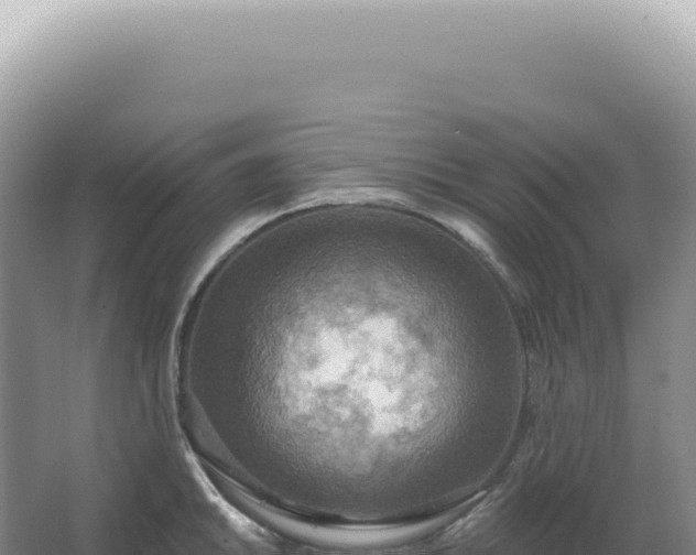 X0000067471046200604142345