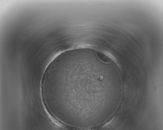 X0000067471047200604142345