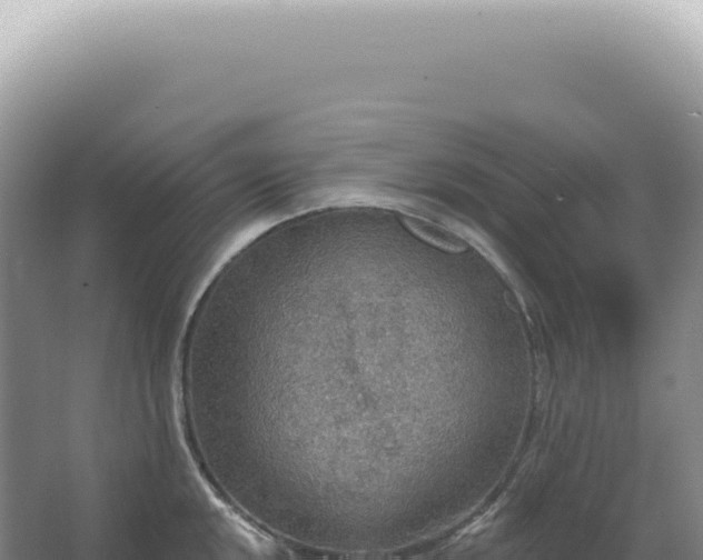 X0000067471048200604142345