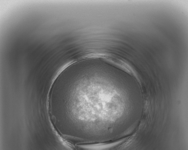 X0000067471050200604142345