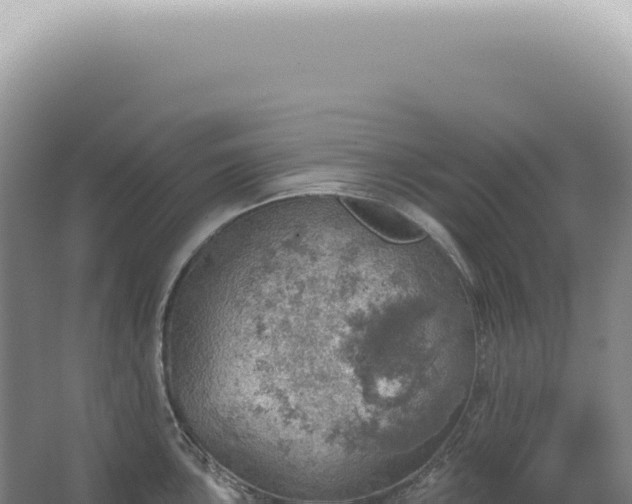 X0000067471051200604142345