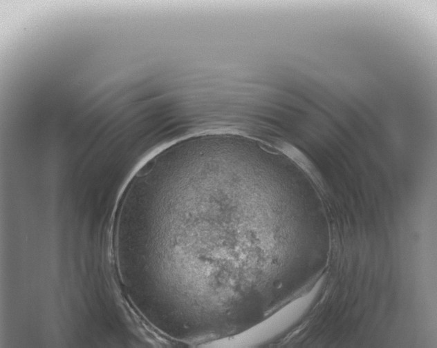 X0000067471052200604142345