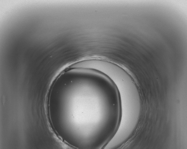 X0000067471054200604142345