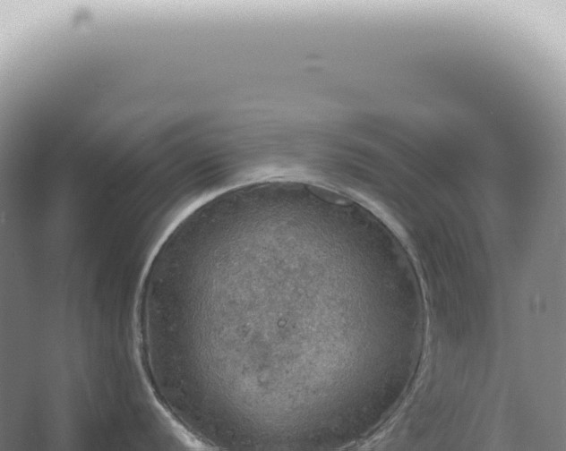 X0000067471056200604142345