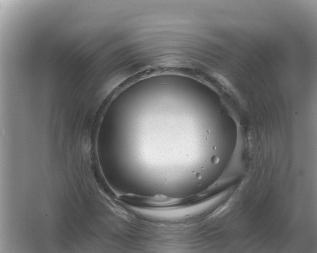 X0000067471065200604142344