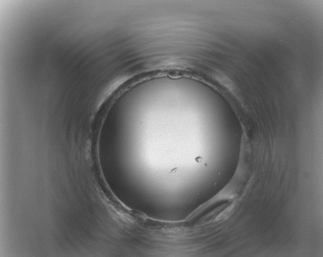 X0000067471066200604142344