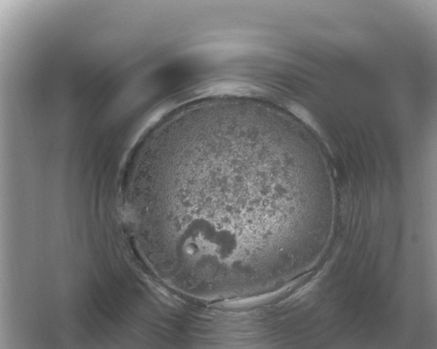 X0000067471067200604142344