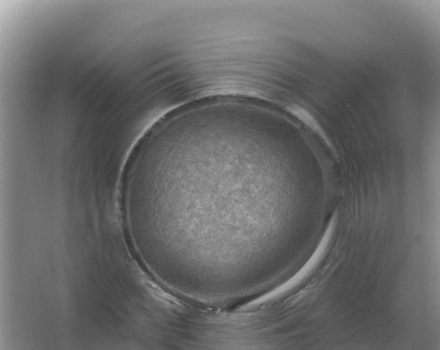 X0000067471068200604142344