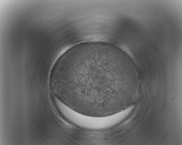 X0000067471071200604142344