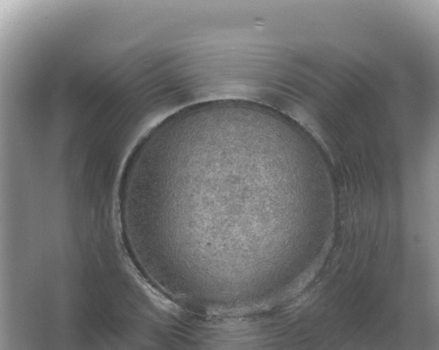 X0000067471072200604142344